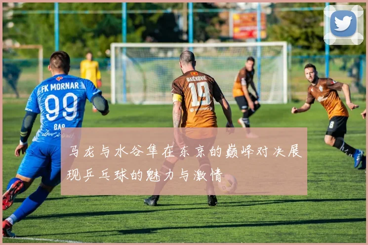 马龙与水谷隼在东京的巅峰对决展现乒乓球的魅力与激情